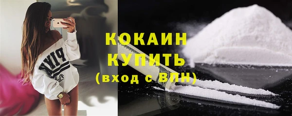гашик Калининец