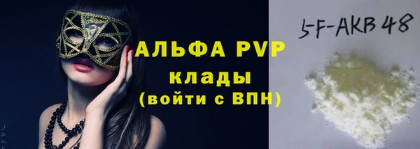 хмурый Бородино