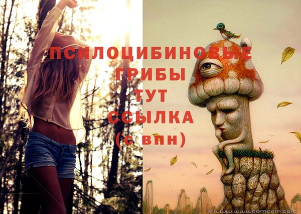 a pvp Нестеровская