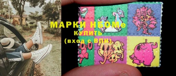 хмурый Бородино