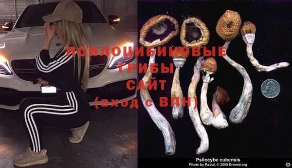 хмурый Бородино