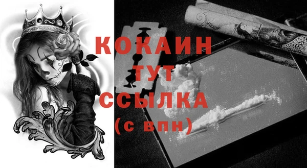 mix Верея