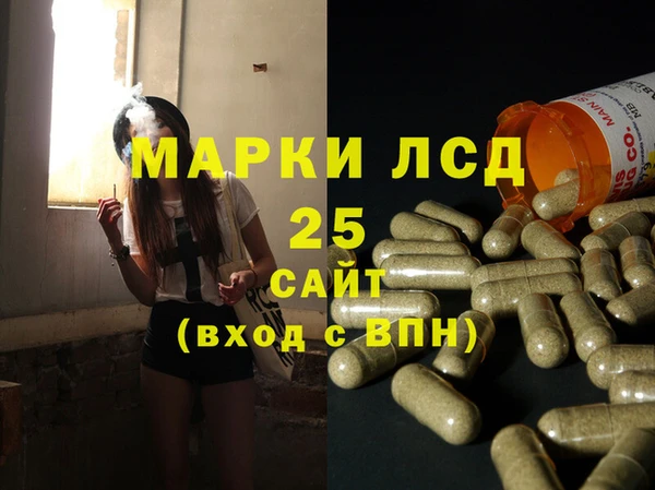 гашик Калининец