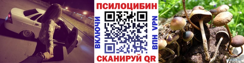 что такое наркотик  Бронницы  Псилоцибиновые грибы Cubensis 